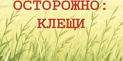 Осторожно: клещи!