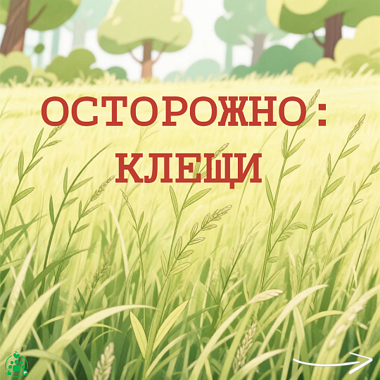 Осторожно: клещи!